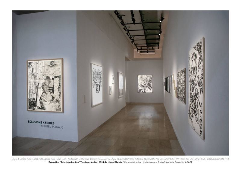 Éclosions hardies / Miguel Marajo