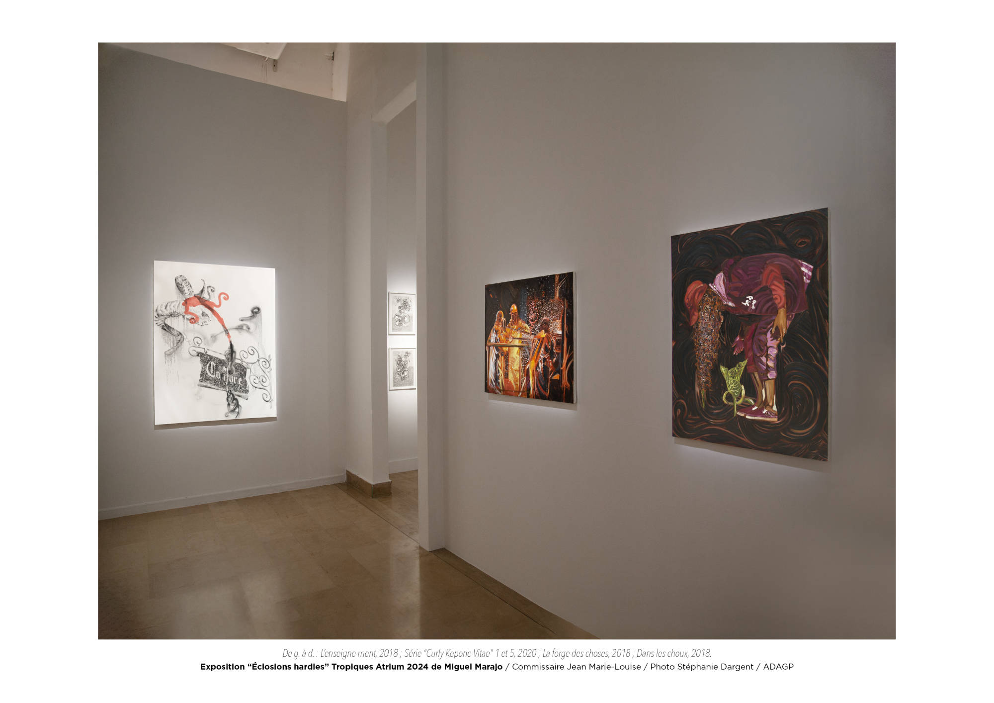 Éclosions hardies / Miguel Marajo