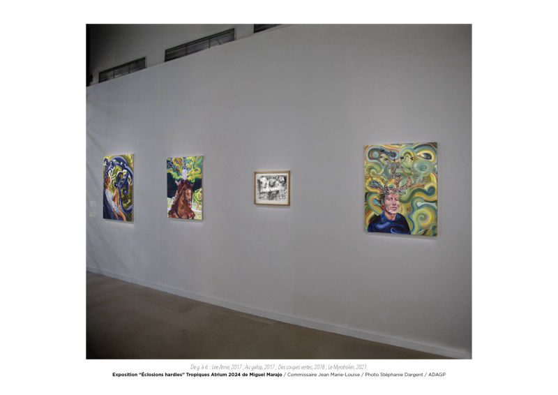 Éclosions hardies / Miguel Marajo