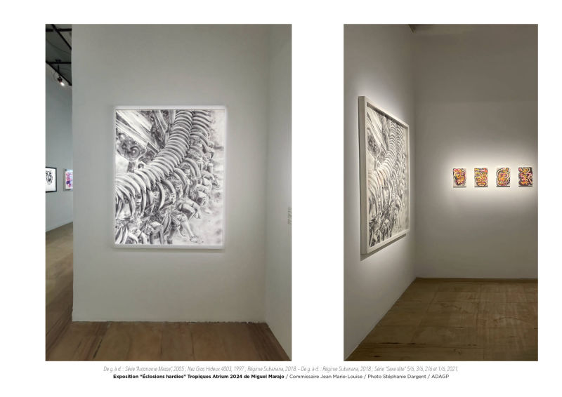 Éclosions hardies / Miguel Marajo